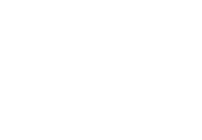 logo-znkstaffing